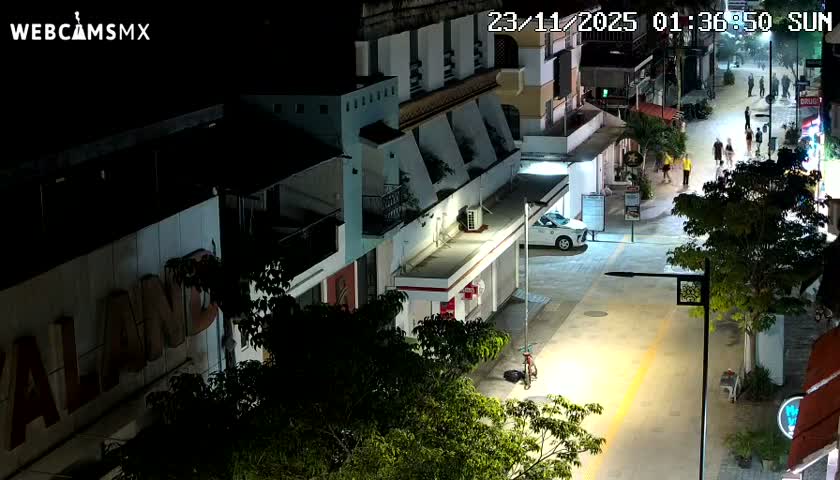 Playa del Carmen Avenue Quinta Avenida Live Cam - Solidaridad, Quintana Roo, Mexico