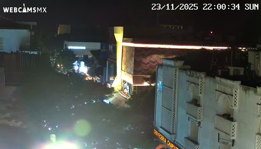 Playa del Carmen Avenue Quinta Avenida Live Cam - Solidaridad, Quintana Roo, Mexico