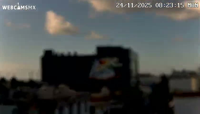 Playa del Carmen Avenue Quinta Avenida Live Cam - Solidaridad, Quintana Roo, Mexico