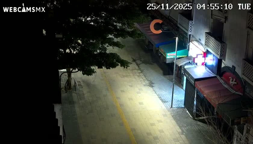 An empty urban street at night is illuminated by streetlights, revealing a large tree on the left and a paved path leading past multiple storefronts featuring awnings and glowing signs, including a prominent red cross, under clear weather conditions.