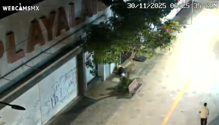 Playa del Carmen Avenue Quinta Avenida Live Cam - Solidaridad, Quintana Roo, Mexico