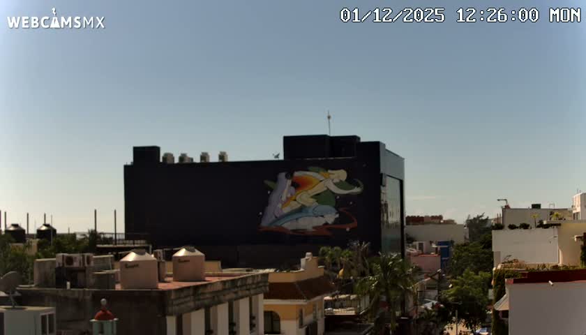 Playa del Carmen Avenue Quinta Avenida Live Cam - Solidaridad, Quintana Roo, Mexico