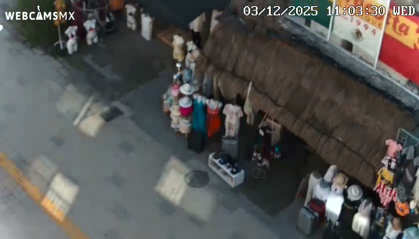 Playa del Carmen Avenue Quinta Avenida Live Cam - Solidaridad, Quintana Roo, Mexico