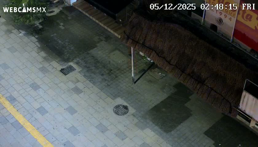 Playa del Carmen Avenue Quinta Avenida Live Cam - Solidaridad, Quintana Roo, Mexico