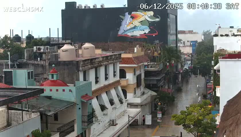 Playa del Carmen Avenue Quinta Avenida Live Cam - Solidaridad, Quintana Roo, Mexico