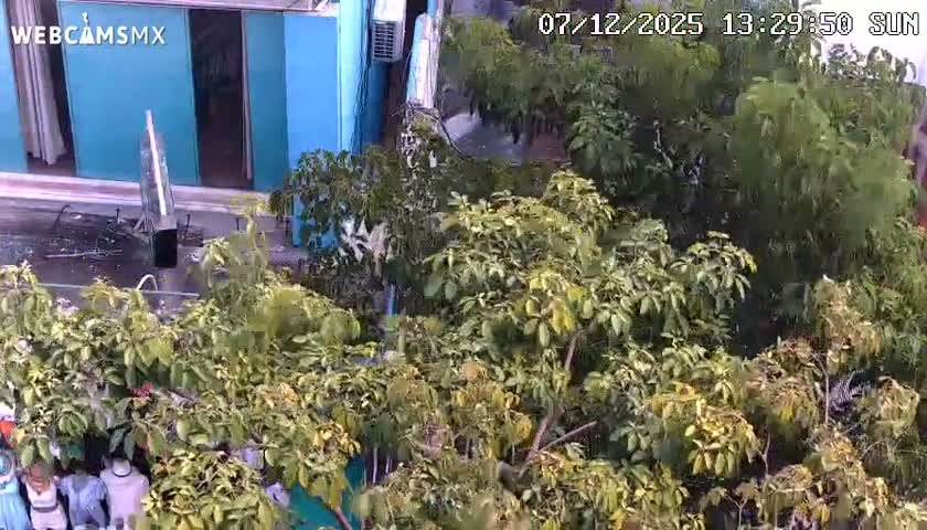 Playa del Carmen Avenue Quinta Avenida Live Cam - Solidaridad, Quintana Roo, Mexico