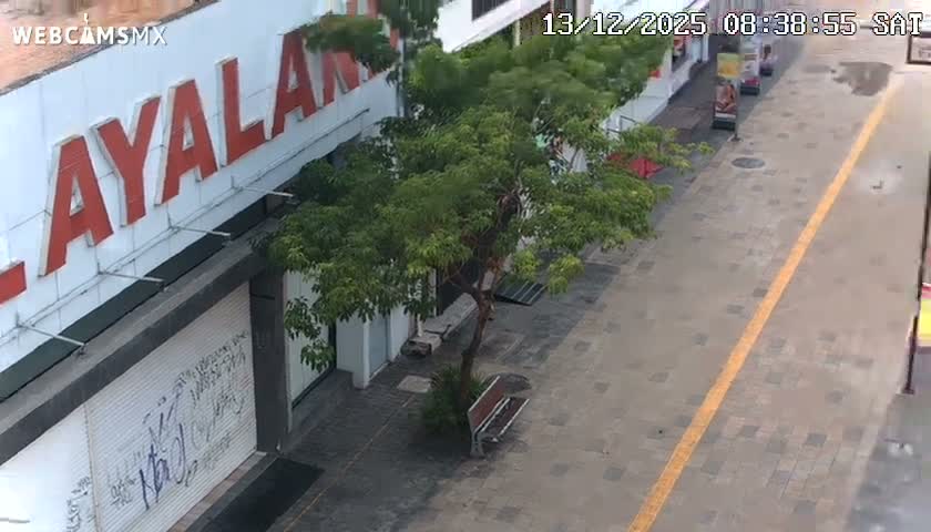 Playa del Carmen Avenue Quinta Avenida Live Cam - Solidaridad, Quintana Roo, Mexico