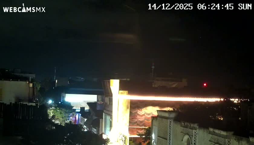 An empty urban street at night is illuminated by streetlights, revealing a large tree on the left and a paved path leading past multiple storefronts featuring awnings and glowing signs, including a prominent red cross, under clear weather conditions.
