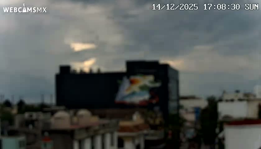 An empty urban street at night is illuminated by streetlights, revealing a large tree on the left and a paved path leading past multiple storefronts featuring awnings and glowing signs, including a prominent red cross, under clear weather conditions.