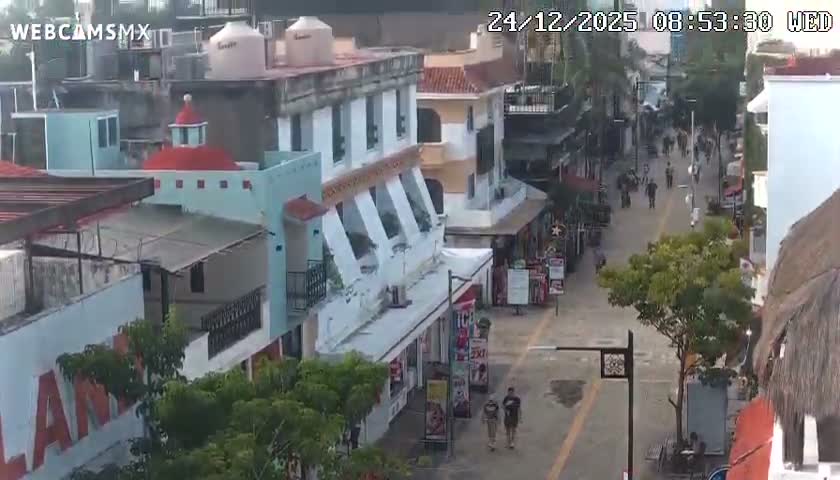 Playa del Carmen Avenue Quinta Avenida Live Cam - Solidaridad, Quintana Roo, Mexico