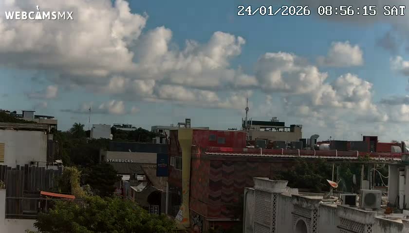 Playa del Carmen Avenue Quinta Avenida Live Cam - Solidaridad, Quintana Roo, Mexico