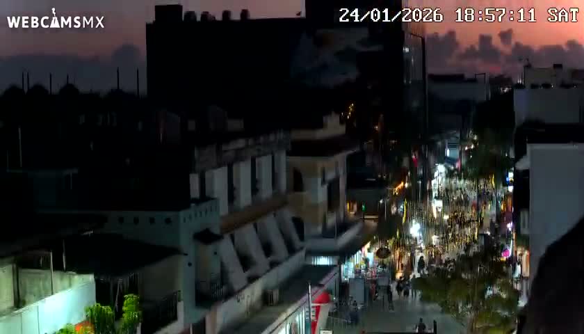 Playa del Carmen Avenue Quinta Avenida Live Cam - Solidaridad, Quintana Roo, Mexico
