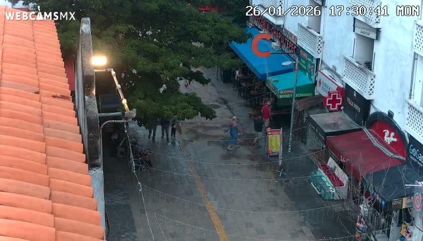 Playa del Carmen Avenue Quinta Avenida Live Cam - Solidaridad, Quintana Roo, Mexico