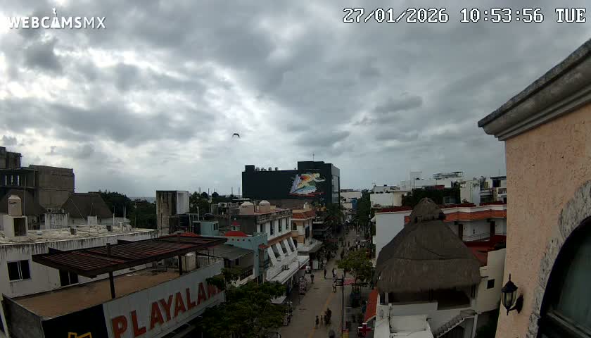 Playa del Carmen Avenue Quinta Avenida Live Cam - Solidaridad, Quintana Roo, Mexico