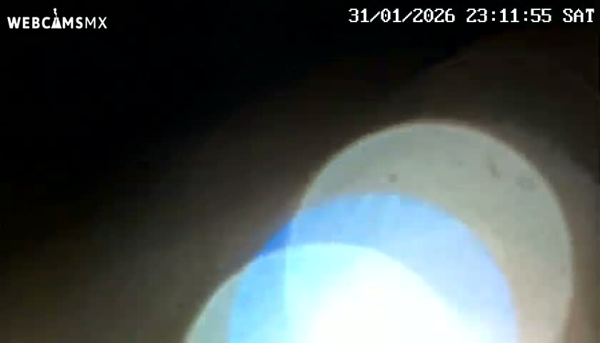 Playa del Carmen Avenue Quinta Avenida Live Cam - Solidaridad, Quintana Roo, Mexico