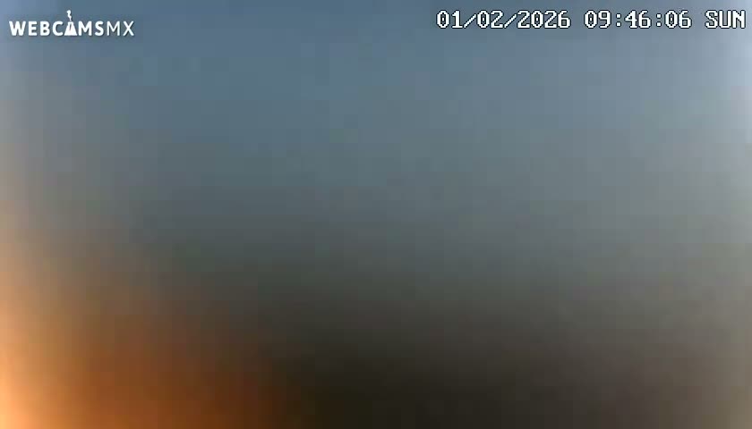 Playa del Carmen Avenue Quinta Avenida Live Cam - Solidaridad, Quintana Roo, Mexico