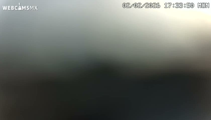 Playa del Carmen Avenue Quinta Avenida Live Cam - Solidaridad, Quintana Roo, Mexico