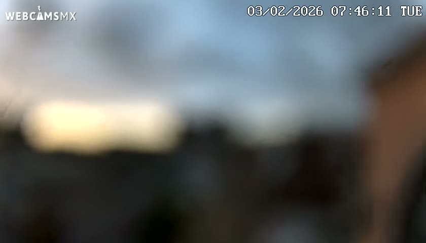 Playa del Carmen Avenue Quinta Avenida Live Cam - Solidaridad, Quintana Roo, Mexico