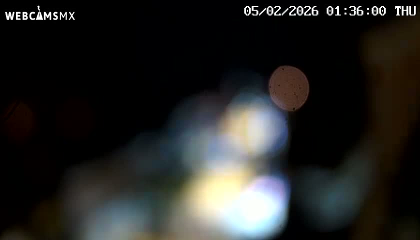 Playa del Carmen Avenue Quinta Avenida Live Cam - Solidaridad, Quintana Roo, Mexico