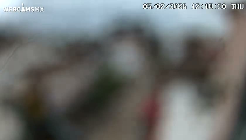 Playa del Carmen Avenue Quinta Avenida Live Cam - Solidaridad, Quintana Roo, Mexico