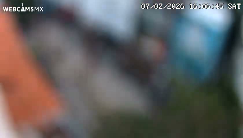 Playa del Carmen Avenue Quinta Avenida Live Cam - Solidaridad, Quintana Roo, Mexico