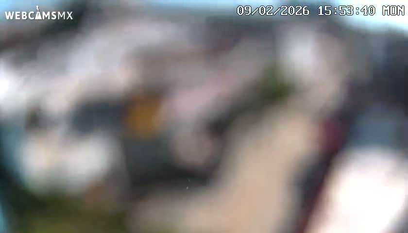 Playa del Carmen Avenue Quinta Avenida Live Cam - Solidaridad, Quintana Roo, Mexico