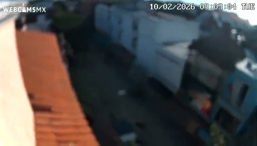 Playa del Carmen Avenue Quinta Avenida Live Cam - Solidaridad, Quintana Roo, Mexico