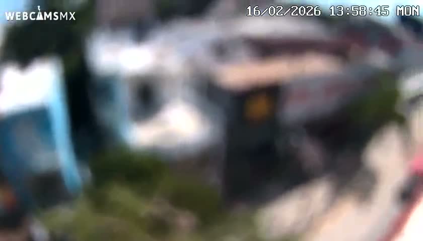Playa del Carmen Avenue Quinta Avenida Live Cam - Solidaridad, Quintana Roo, Mexico