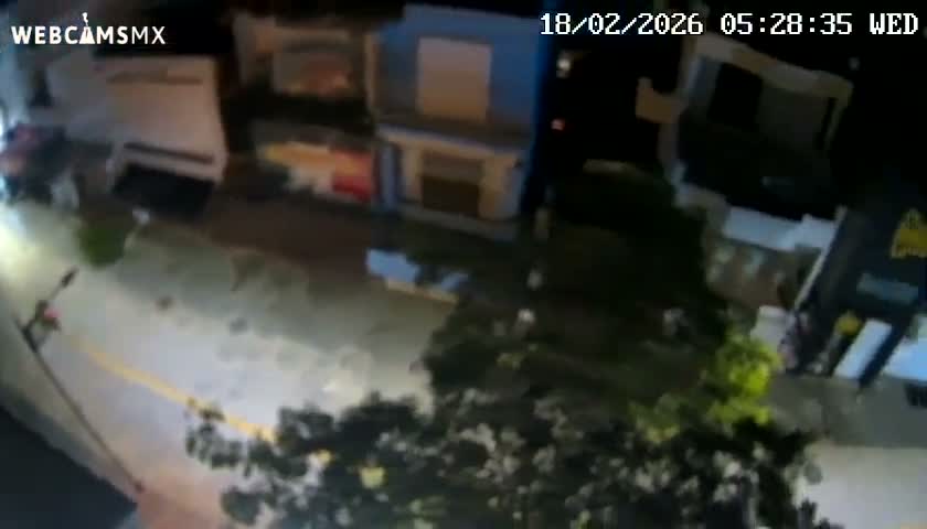 Playa del Carmen Avenue Quinta Avenida Live Cam - Solidaridad, Quintana Roo, Mexico