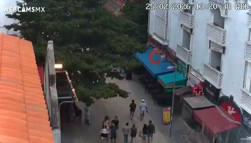 Playa del Carmen Avenue Quinta Avenida Live Cam - Solidaridad, Quintana Roo, Mexico