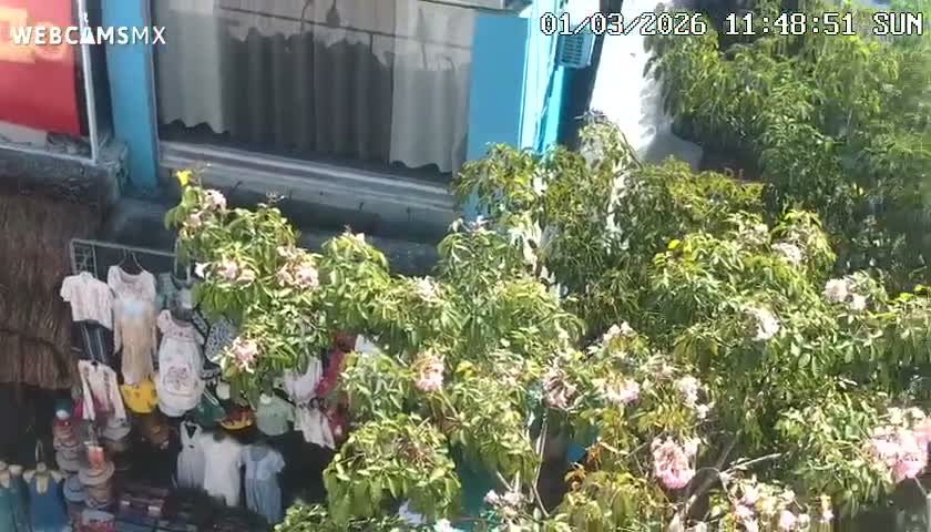 Playa del Carmen Avenue Quinta Avenida Live Cam - Solidaridad, Quintana Roo, Mexico