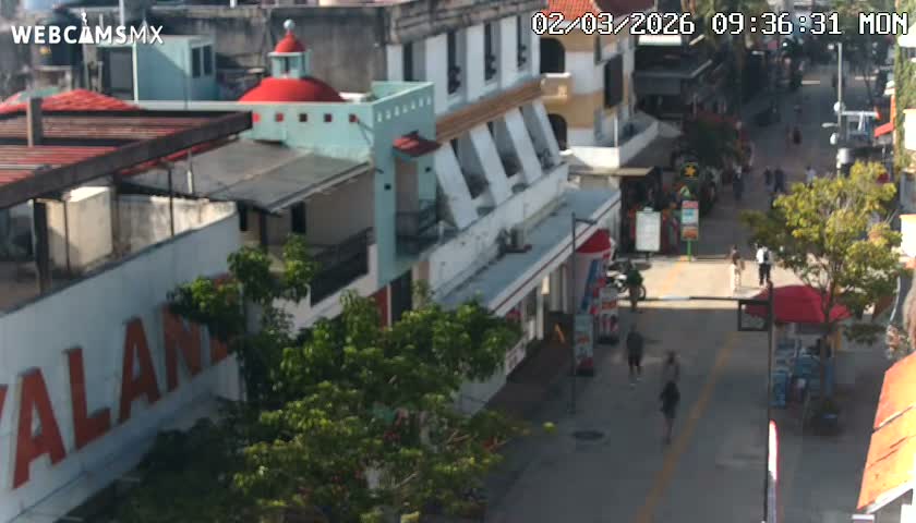 Playa del Carmen Avenue Quinta Avenida Live Cam - Solidaridad, Quintana Roo, Mexico