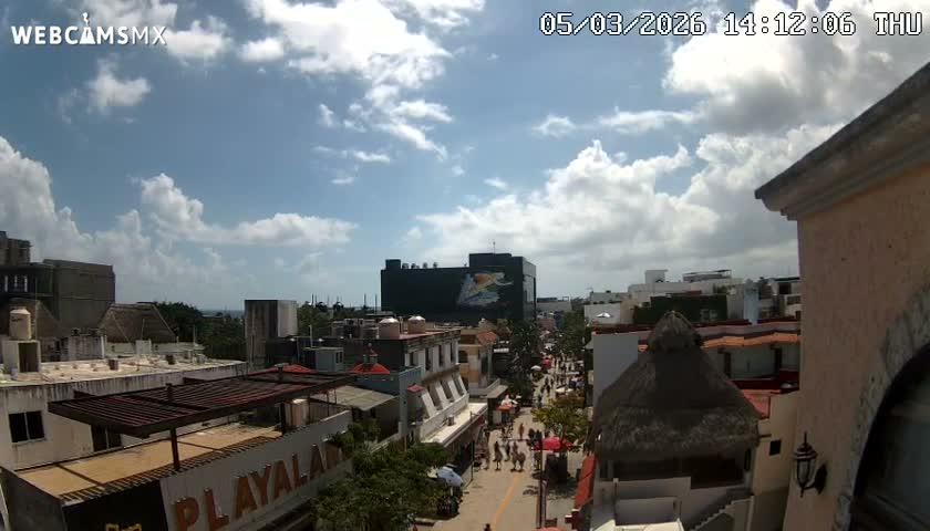 Playa del Carmen Avenue Quinta Avenida Live Cam - Solidaridad, Quintana Roo, Mexico