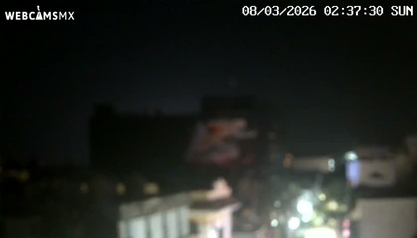 Playa del Carmen Avenue Quinta Avenida Live Cam - Solidaridad, Quintana Roo, Mexico