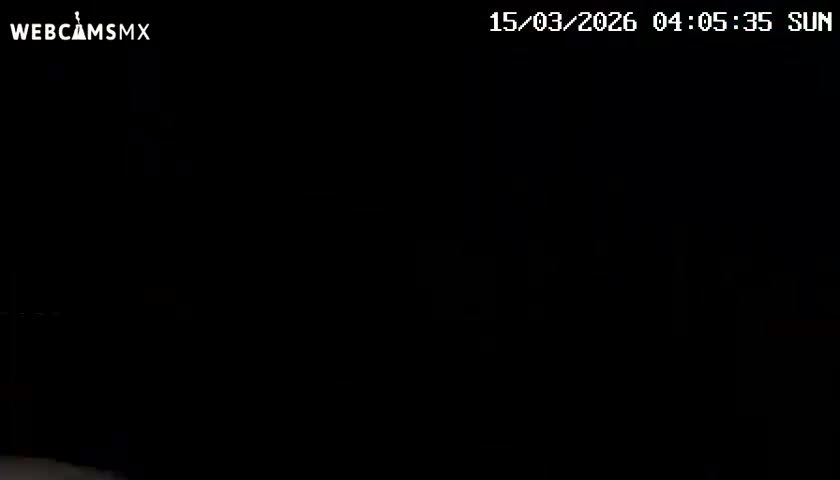 Playa del Carmen Avenue Quinta Avenida Live Cam - Solidaridad, Quintana Roo, Mexico