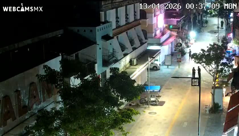 Playa del Carmen Avenue Quinta Avenida Live Cam - Solidaridad, Quintana Roo, Mexico