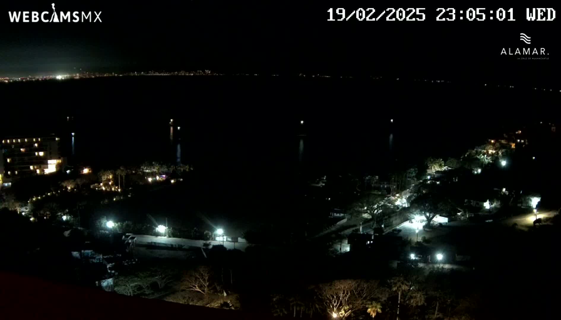A nighttime, high-angle view shows a dark body of water with a distant city skyline, and illuminated buildings and trees closer to the vantage point.