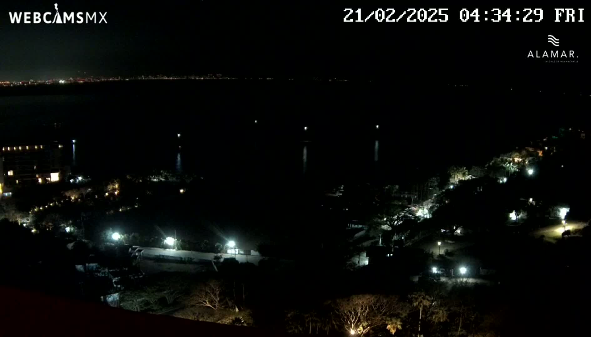 A nighttime, aerial view shows a dark body of water, a shoreline with sparsely lit buildings and trees, and a distant city skyline faintly visible on the horizon.