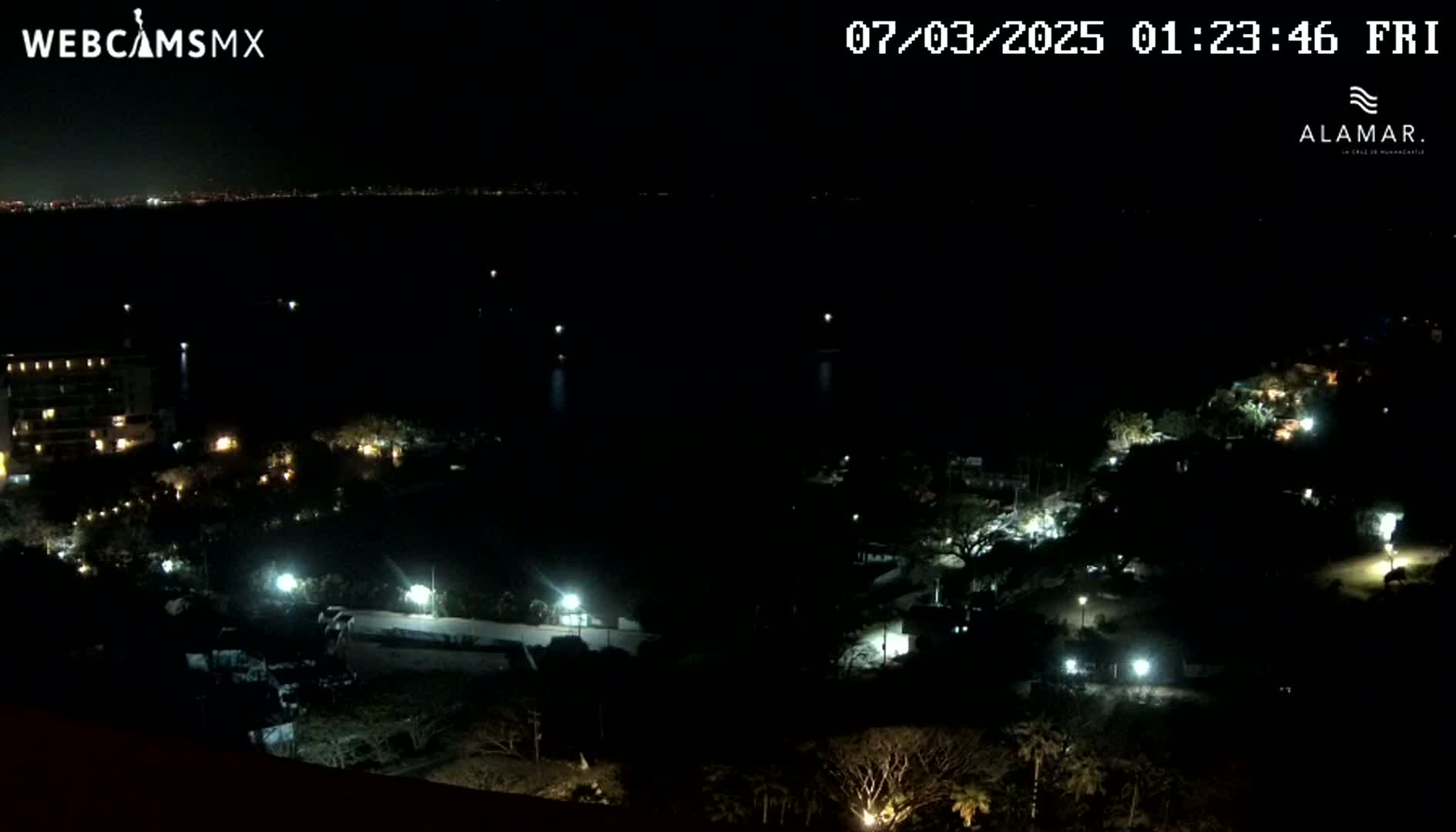 A nighttime, high-angle view shows a dark body of water, a shoreline with sparsely lit buildings and vegetation, and a distant city skyline faintly visible on the horizon.
