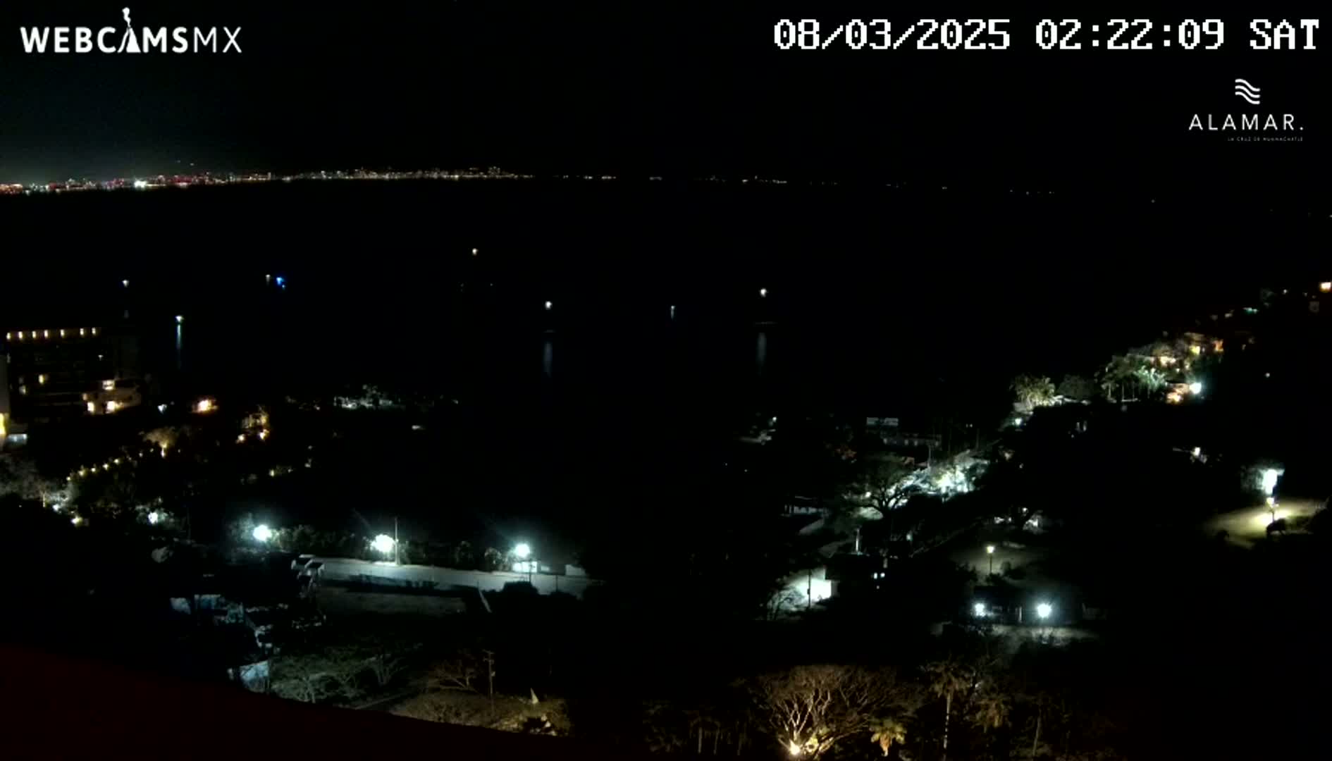 A nighttime, high-angle view shows a dark body of water with a distant city skyline faintly visible, while the foreground features a sparsely lit landscape of trees and buildings.