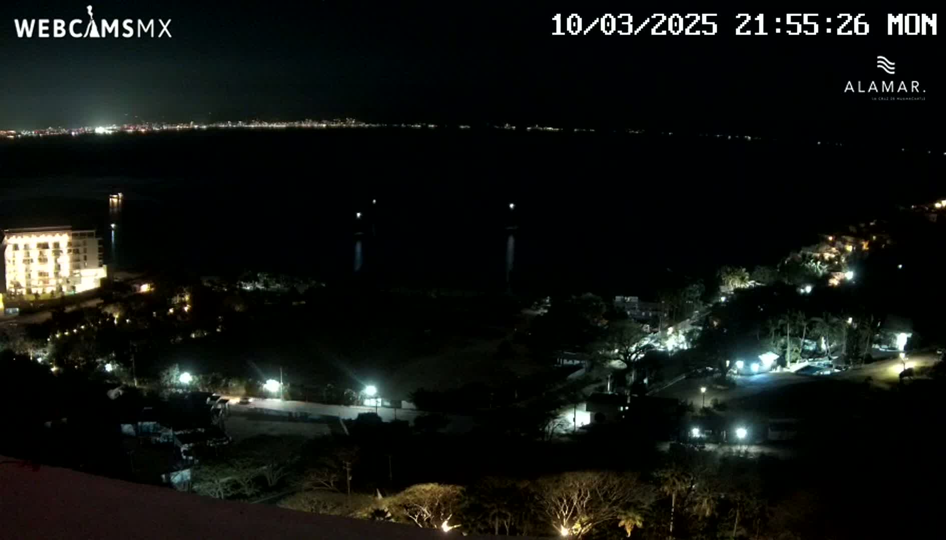 A nighttime, high-angle view shows a dark body of water with a distant city skyline faintly visible, a multi-story building illuminated nearby, and a landscape of dark trees and sparsely lit roads below.
