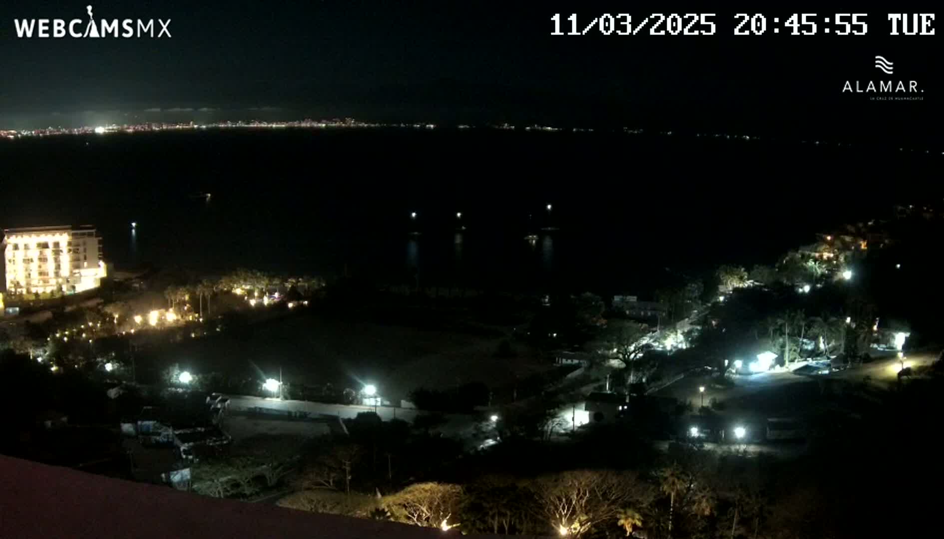 A nighttime view of a coastal area shows a city skyline across a dark body of water, with illuminated buildings and vegetation closer to the camera.