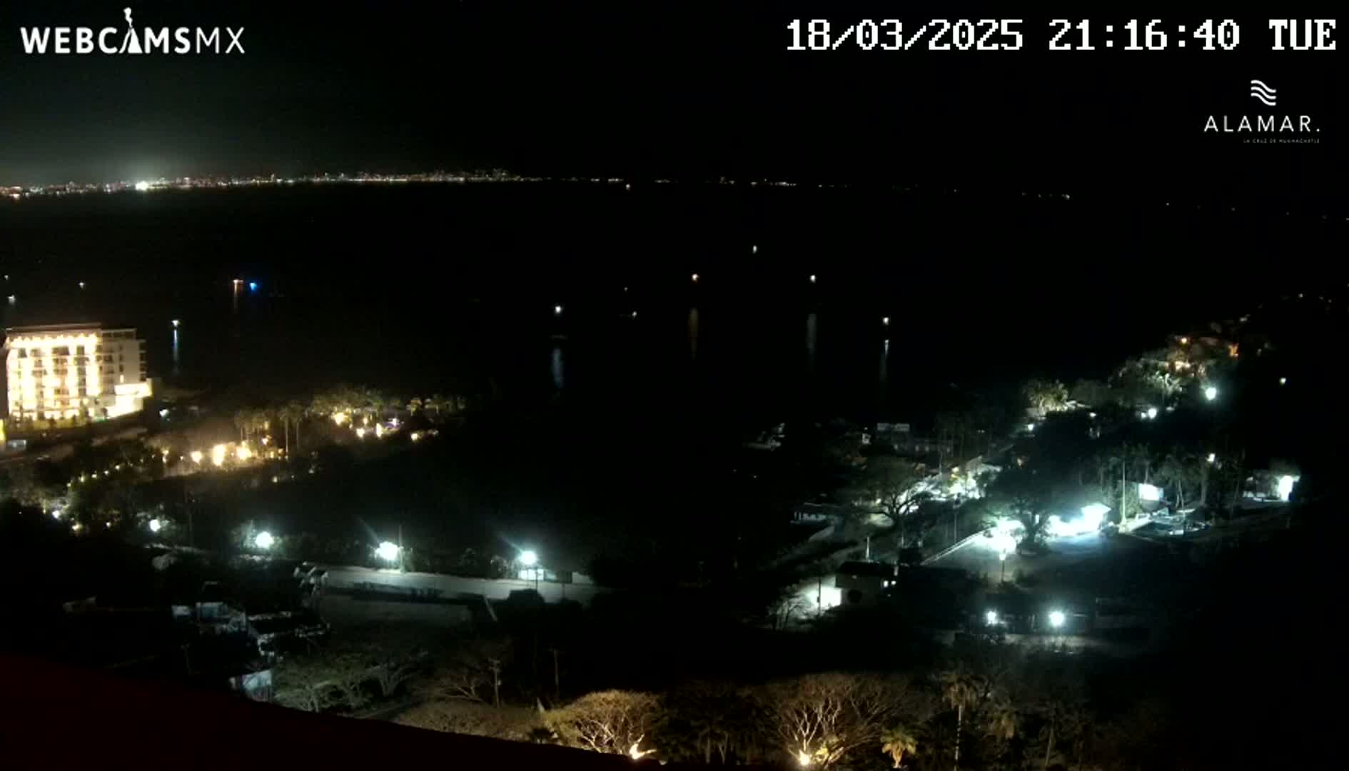 A nighttime, high-angle view of a coastal area shows a dark body of water reflecting city lights in the distance, with illuminated buildings and trees closer to the viewer.