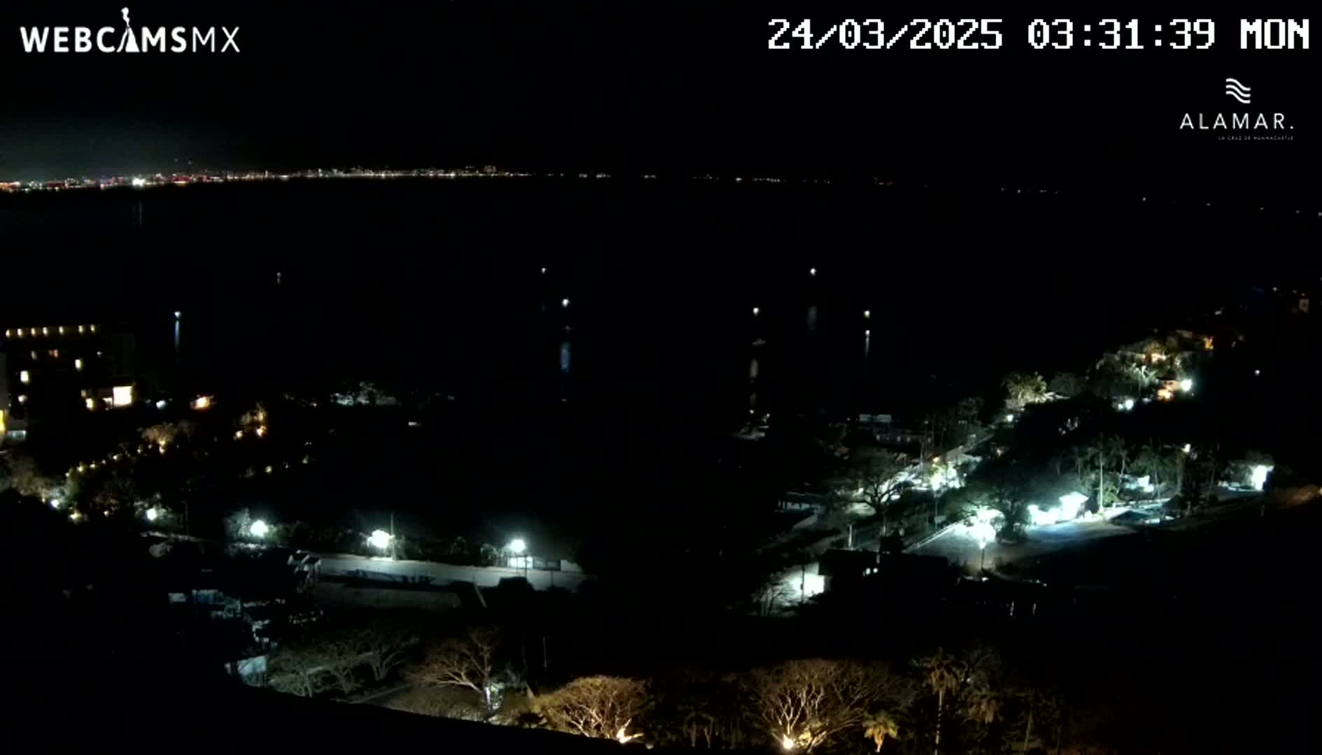 A nighttime, high-angle view shows a dark body of water with a distant city skyline, and a sparsely lit area of land with trees and buildings below.