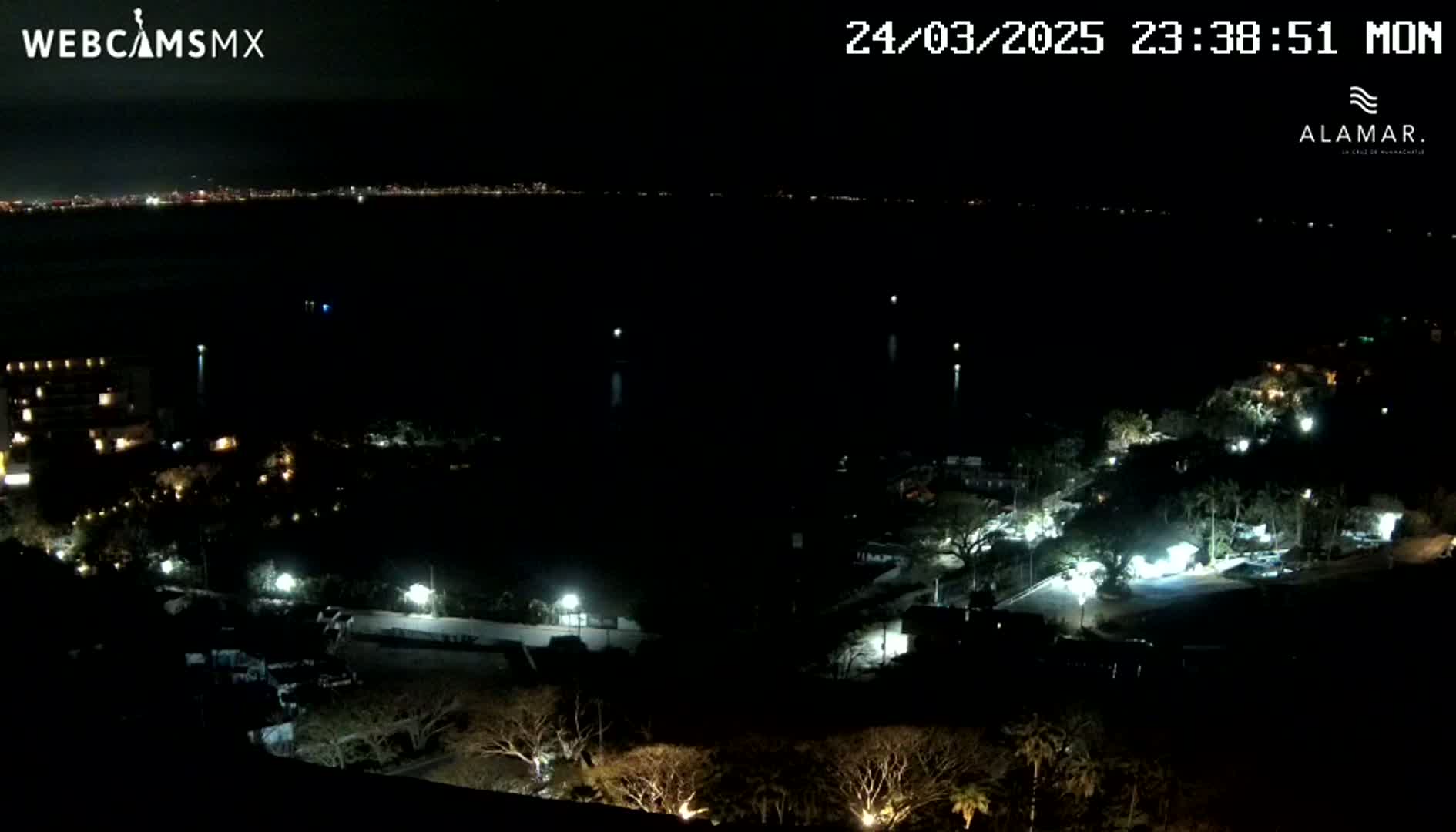A nighttime view of a city's lights across a dark body of water, with sparsely lit vegetation and buildings in the foreground under a clear sky.