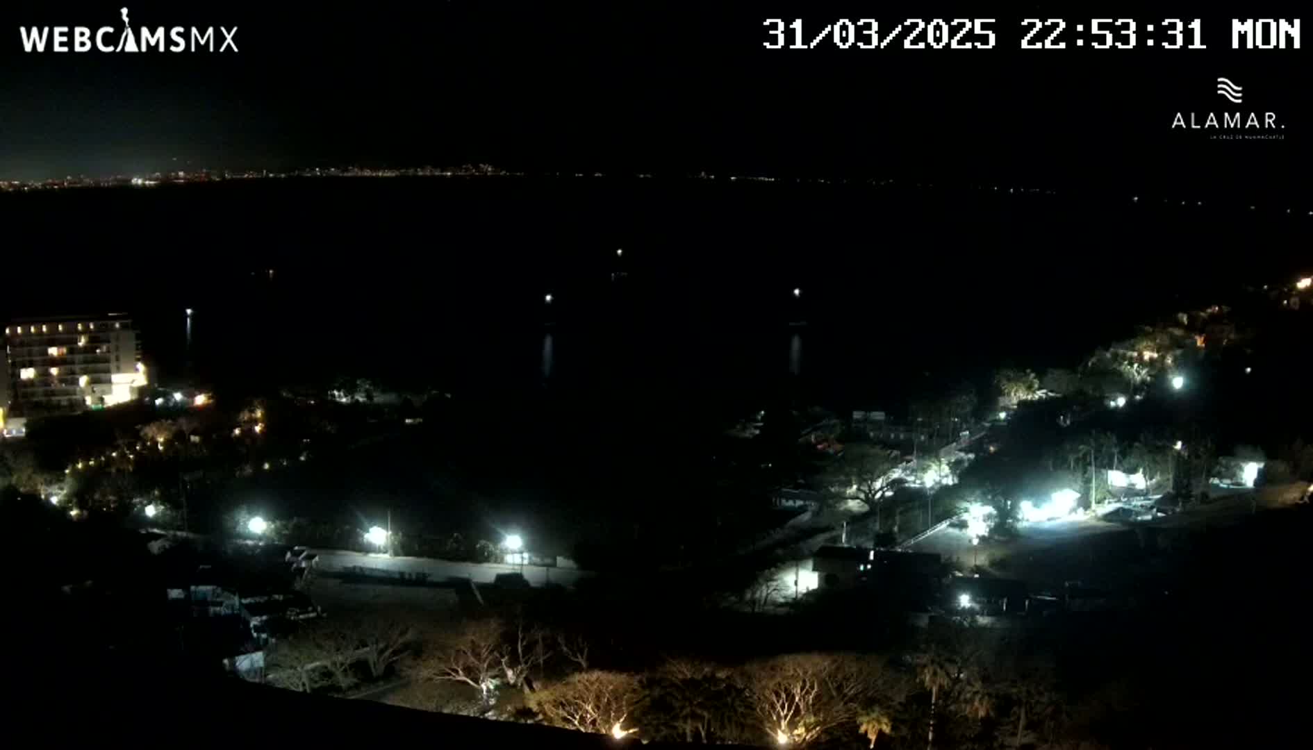 A nighttime, high-angle view shows a dark body of water with a distant city skyline, a shoreline with illuminated buildings and vegetation, and sparsely lit areas possibly indicating roads and parking lots.