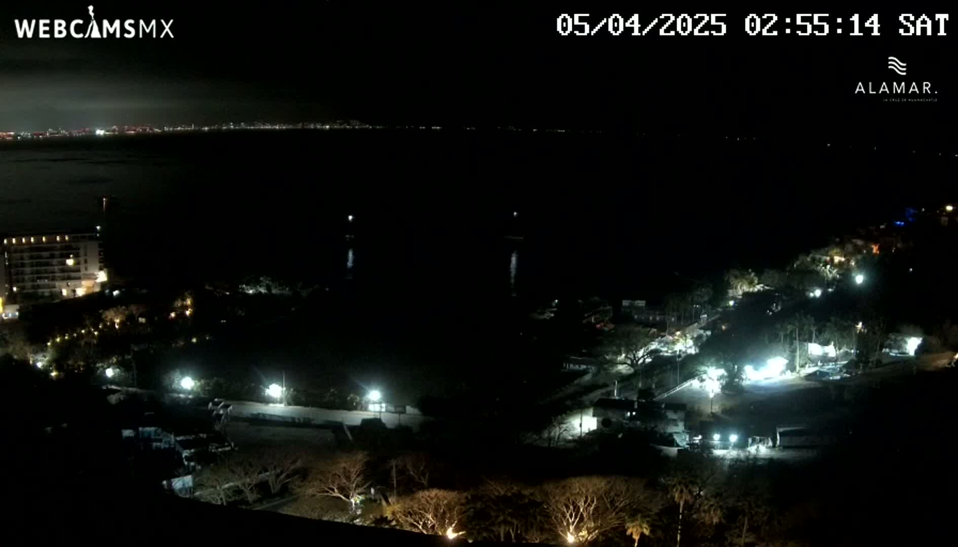 A nighttime view of a coastal area shows a dark body of water with a city skyline in the distance, and illuminated buildings, trees, and roads closer to the foreground under a clear sky.