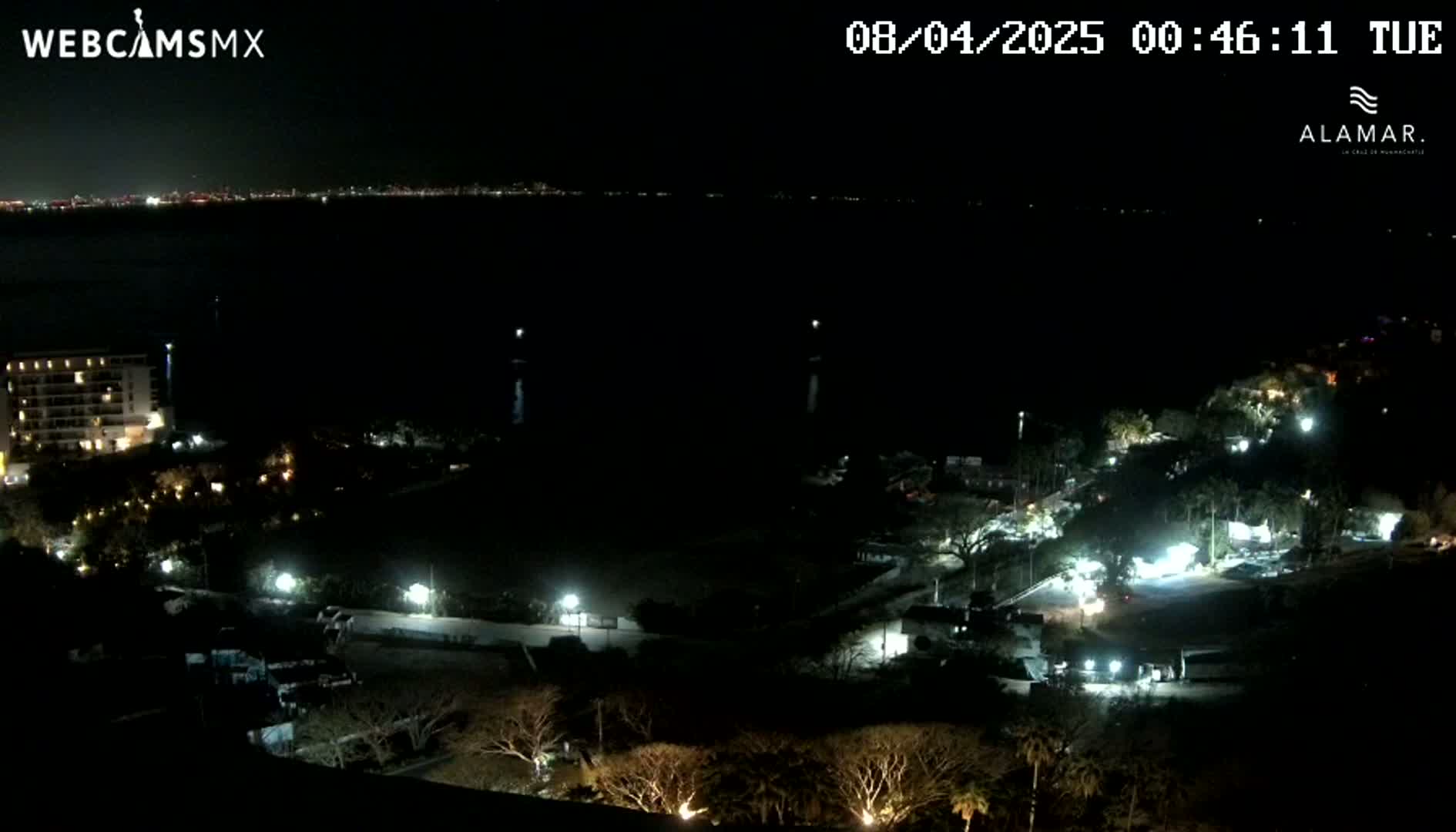 A nighttime aerial view shows a dark body of water, a city skyline in the distance, and a coastal area with illuminated buildings and vegetation.