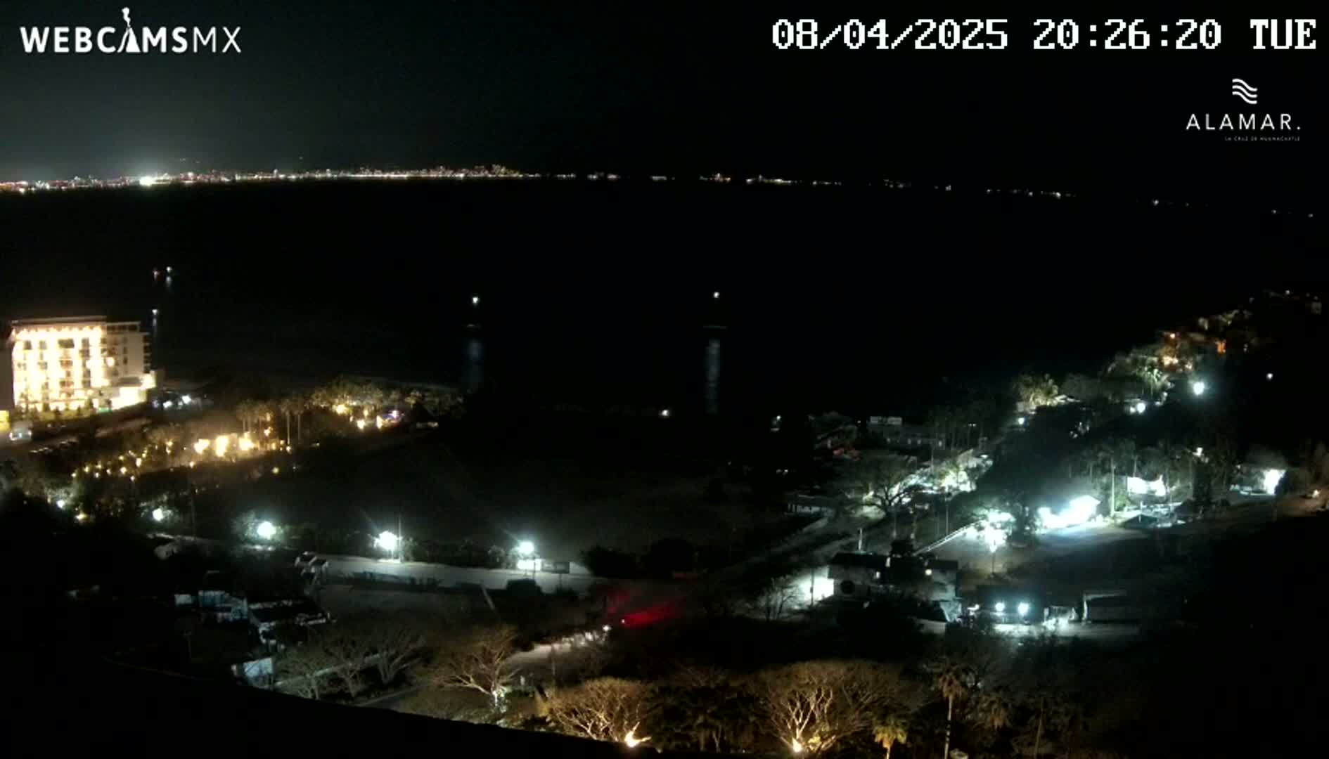 A nighttime coastal scene shows a dark body of water with a distant city skyline, illuminated buildings and vegetation closer to the camera, and a clear night sky.