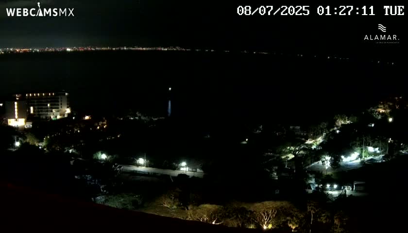 A nighttime view shows a coastline with city lights in the distance, a large building lit up closer to the viewer, and surrounding dark foliage sparsely illuminated by scattered lights.